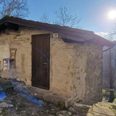 Casetta Immersa Nella Natura *