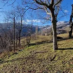 Casetta Immersa Nella Natura Vakantiehuis *