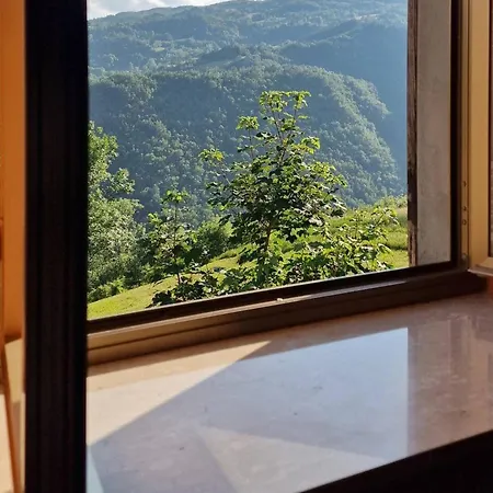 Casetta Immersa Nella Natura Tatil Evi