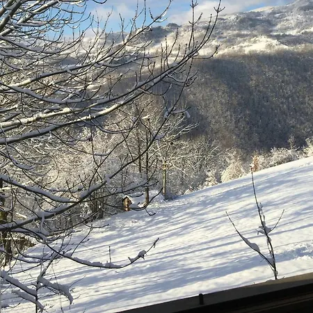 Casetta Immersa Nella Natura Tatil Evi
