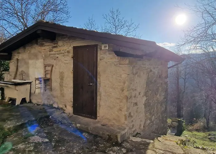 Casetta Immersa Nella Natura